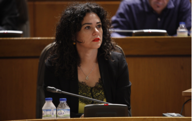 El Parlamento aragonés aprueba por unanimidad una proposición no de ley para el reconocimiento institucional al Pueblo Gitano y su historia